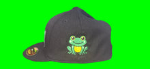 Load image into Gallery viewer, Froggtown Graffit
